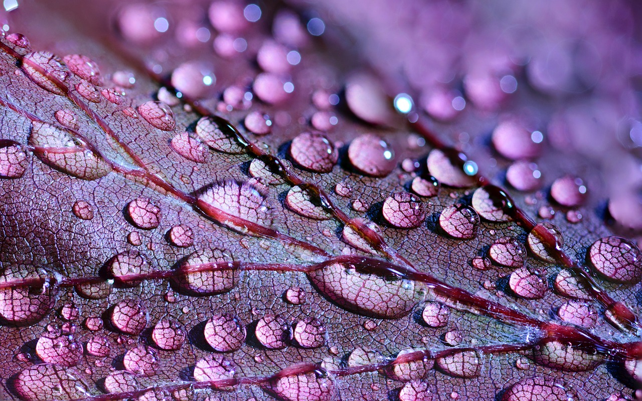 Mastering the First Impression: Your intriguing post title goes here